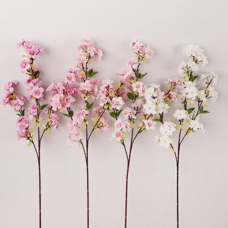 Cherry blossom with three branches