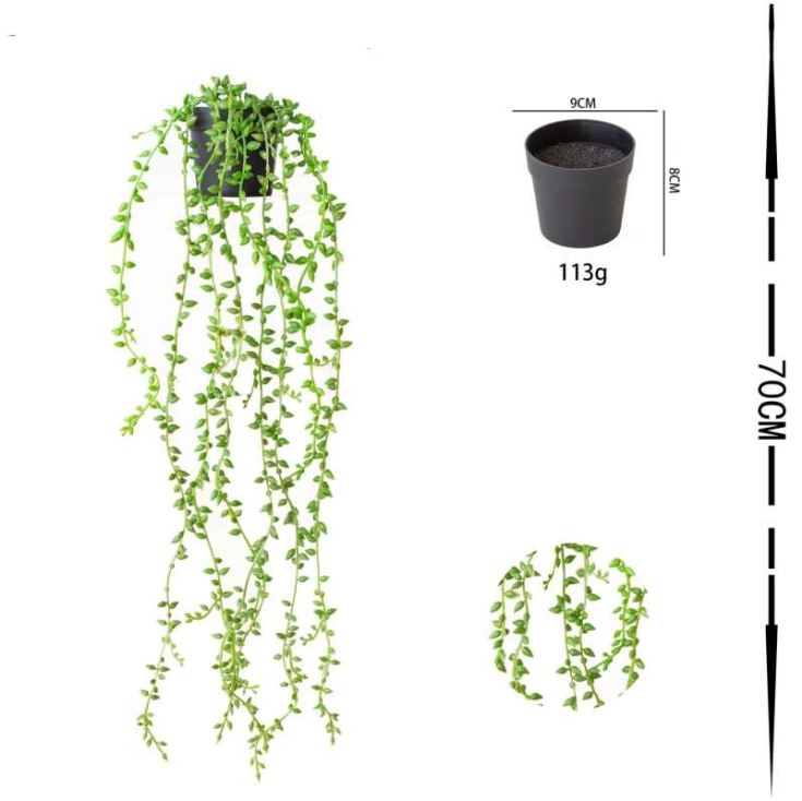 Lover's Tears Vine with 9 Branches