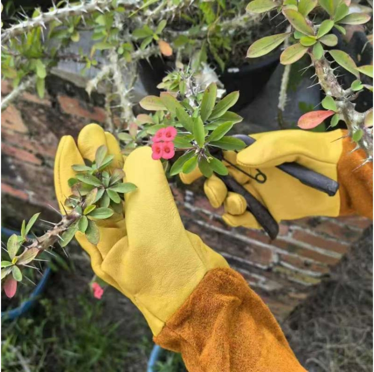 Leather gardening gloves