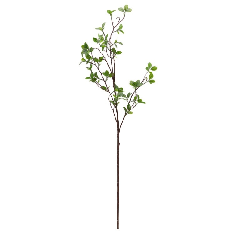 Simulated Milan Leaf Aglaia odorata‌