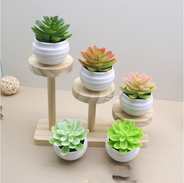 Fake succulent little lotus potted plant