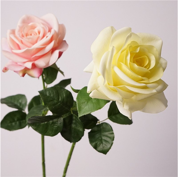 Wholesale moisturizing roses with a soft feel