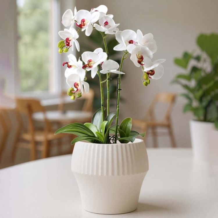 Large floor-standing plastic flower pot