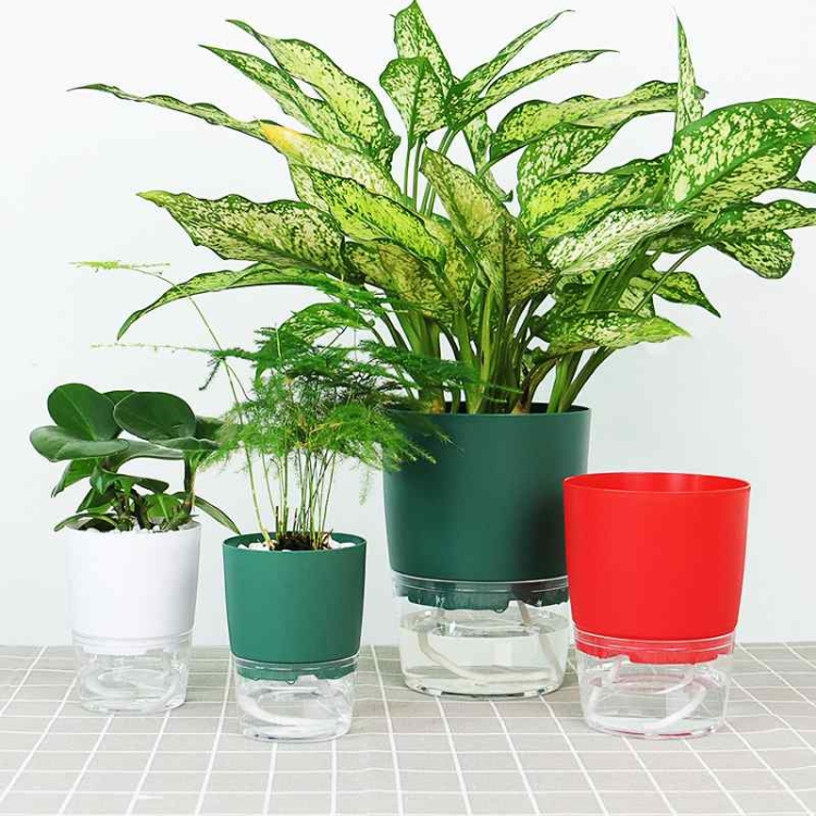 Automatic water-absorbing colored plastic flower pots