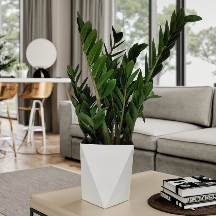 Rhombus-shaped plastic flower pot