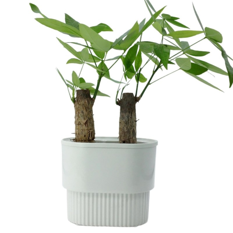 Double-layered Twin plastic flower pots