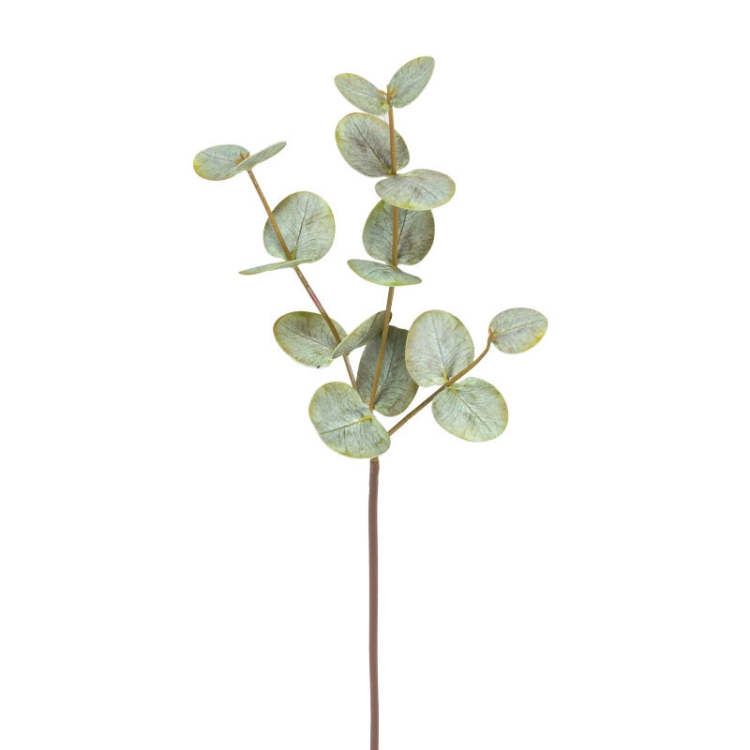 Simulated eucalyptus branches
