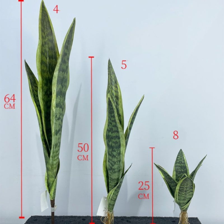 Simulated snake plant