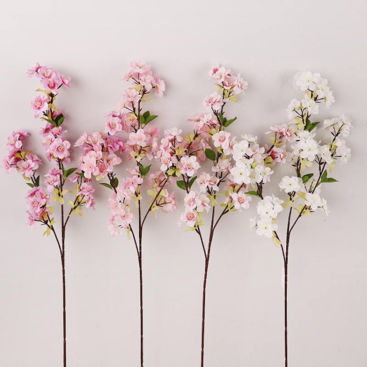 Cherry blossom with three branches