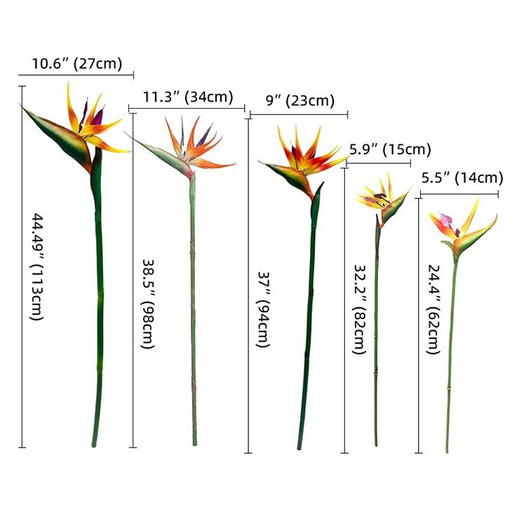 Simulated Bird of Paradise flower