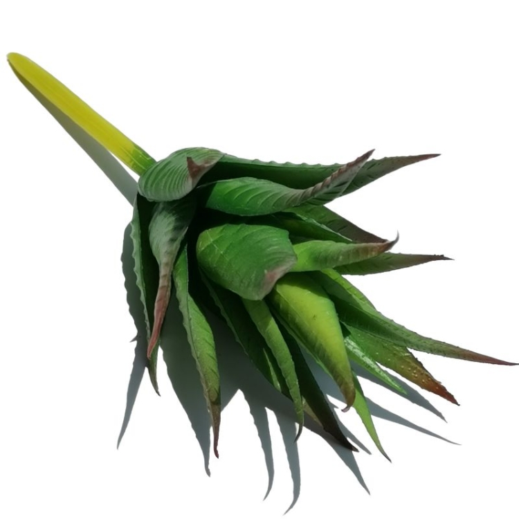 Artificial Aloe