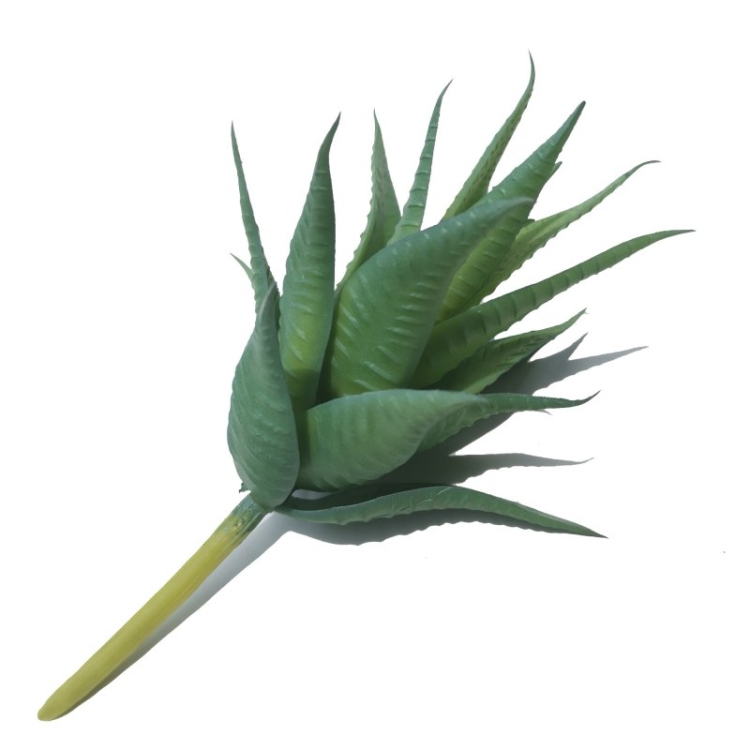 Artificial Aloe