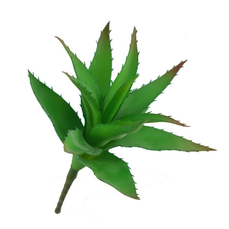 Simulated Aloe Wholesale