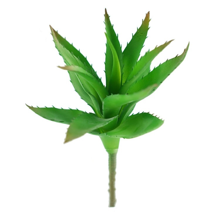 Simulated Aloe Wholesale