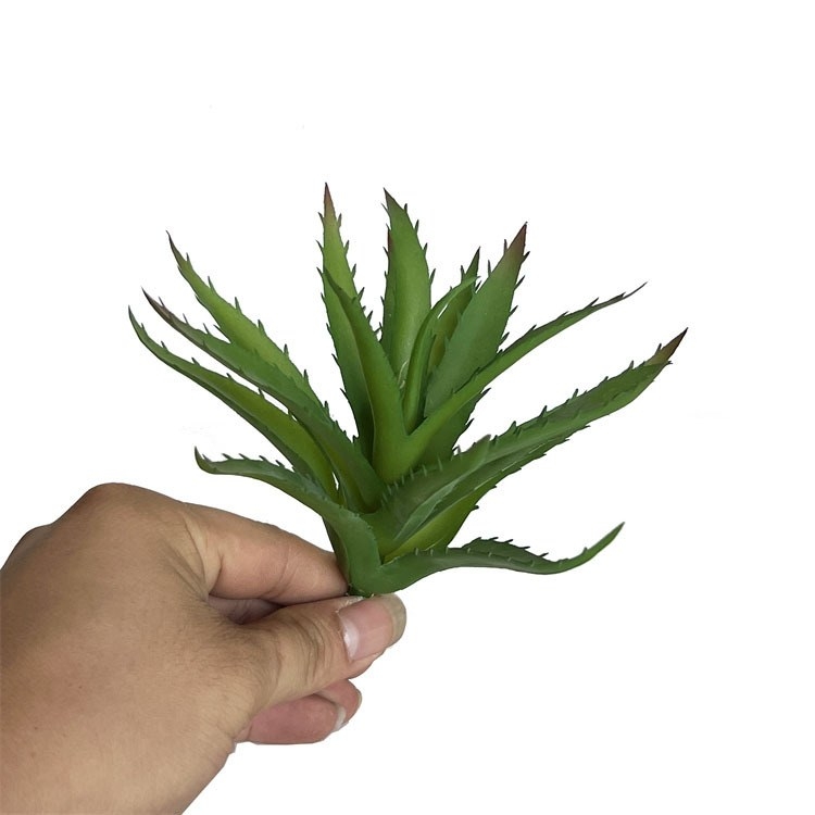 Plastic Aloe