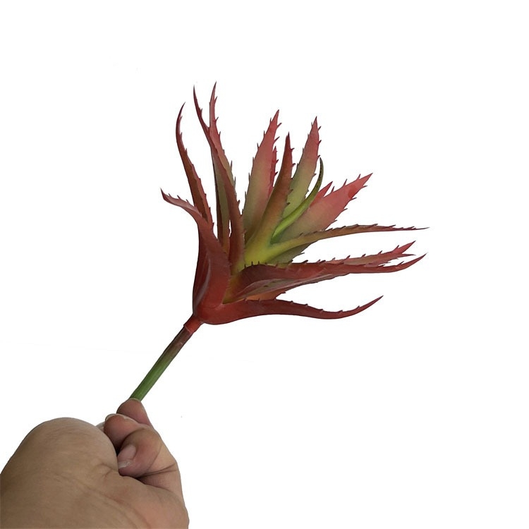 Plastic Aloe
