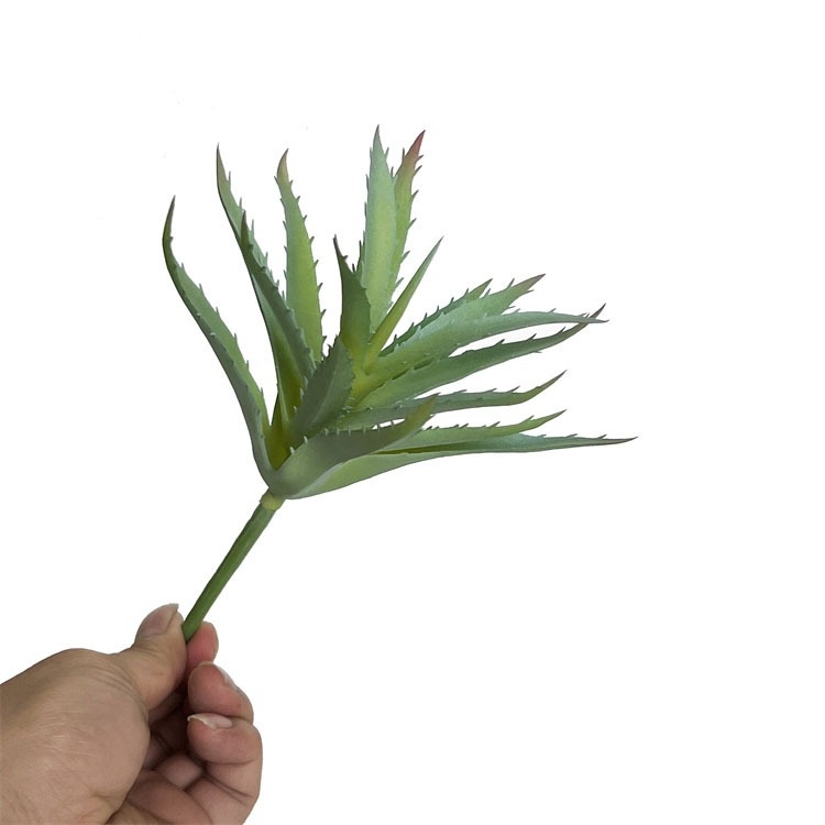 Plastic Aloe