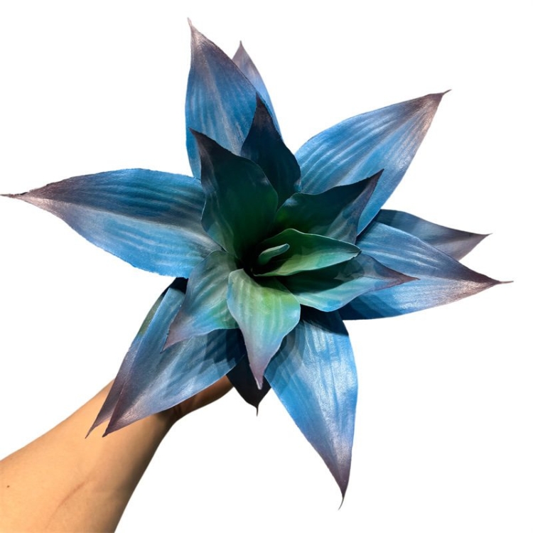 Simulated Agave