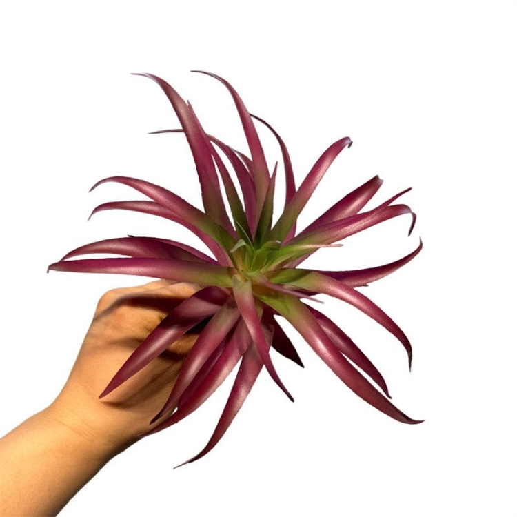 Artificial Tillandsia Brachycaulos Wholesale