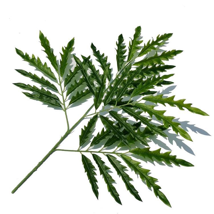 Artificial ‌Schefflera elegantissima