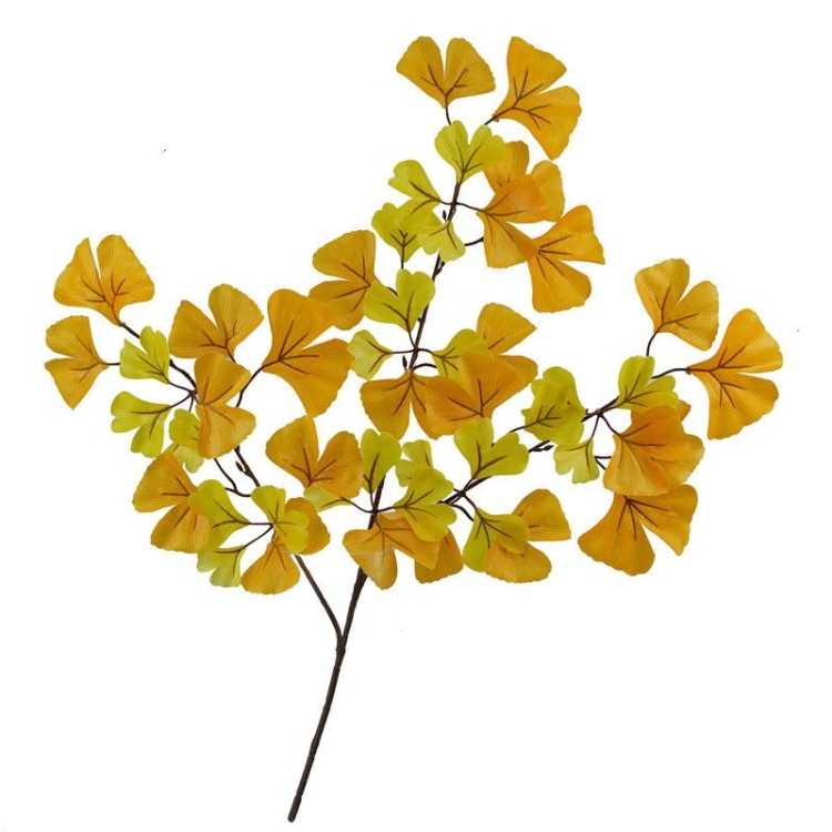 Artificial Ginkgo Leaf
