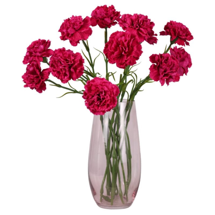 Realistic Touch Moisturizing Carnation