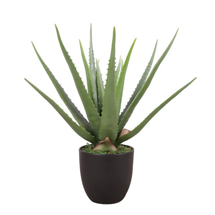 Artificial 35cm - 70cm aloe vera potted plants