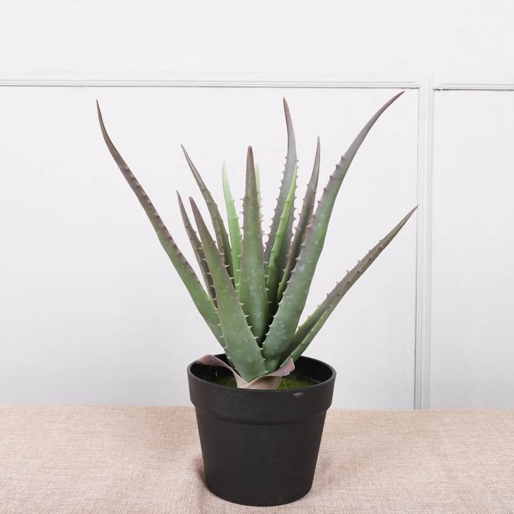 Artificial 35cm - 70cm aloe vera potted plants
