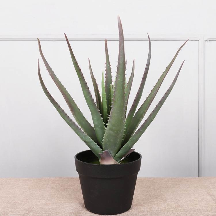 Artificial 35cm - 70cm aloe vera potted plants