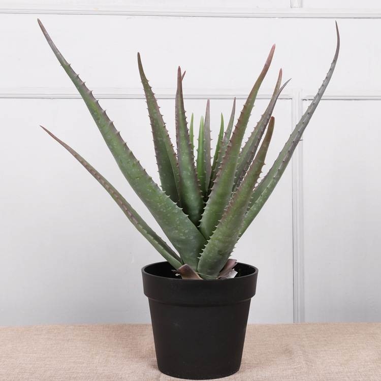 Artificial 35cm - 70cm aloe vera potted plants
