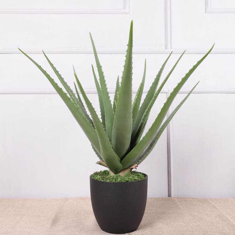 Artificial 35cm - 70cm aloe vera potted plants