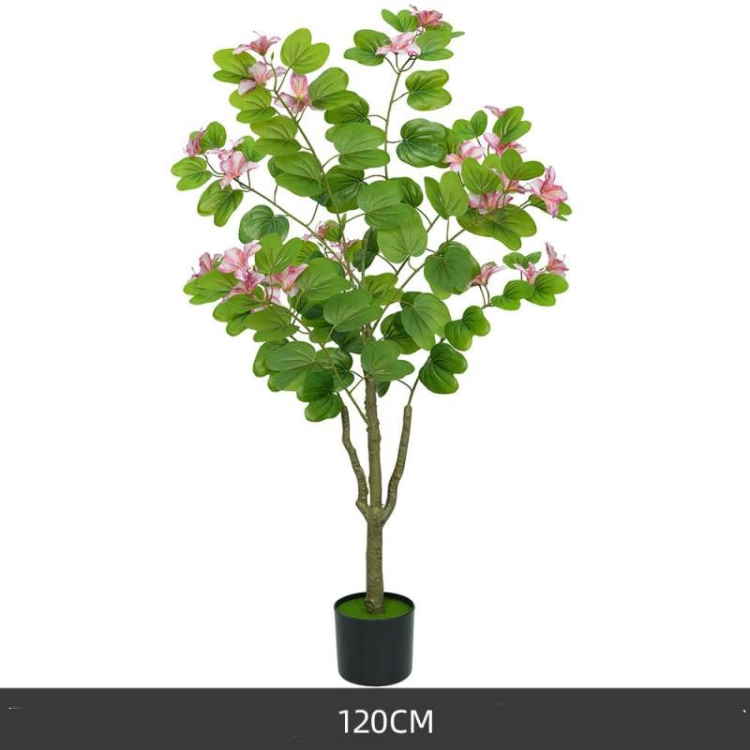 Simulated 120-200cm Pink Bauhinia Potted Plants