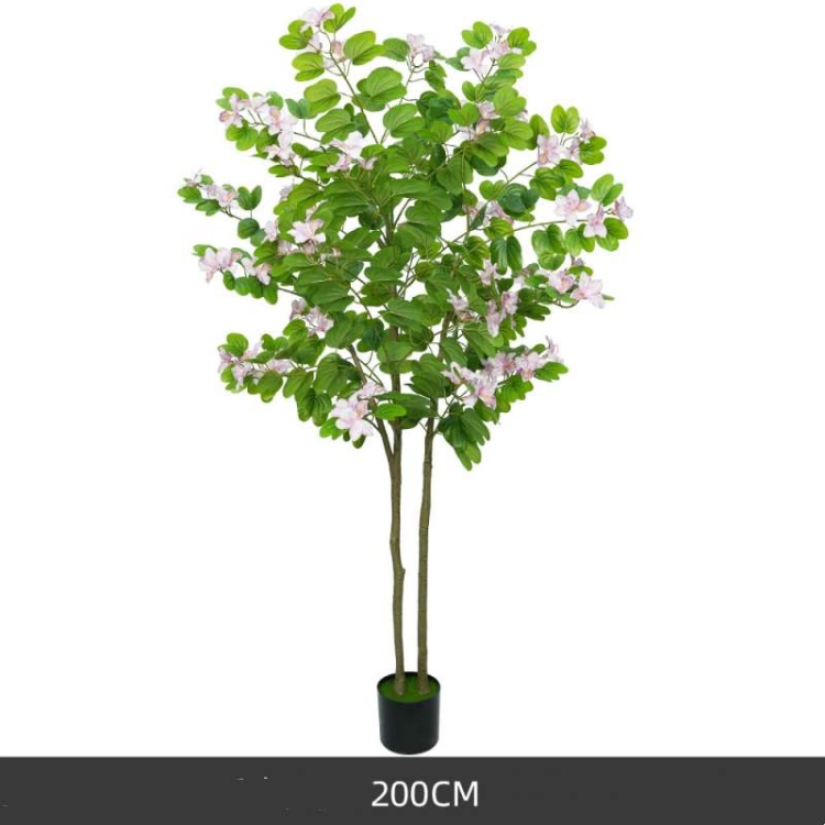 Simulated 120-200cm Purple Bauhinia Potted Plants