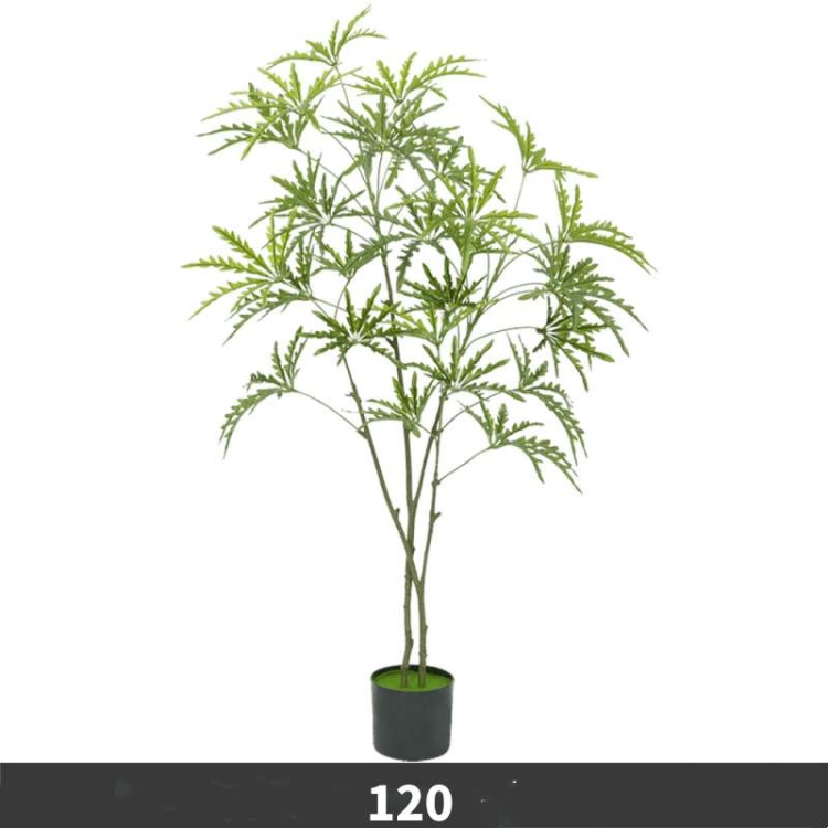 120 to 175cm Artificial False Aralia