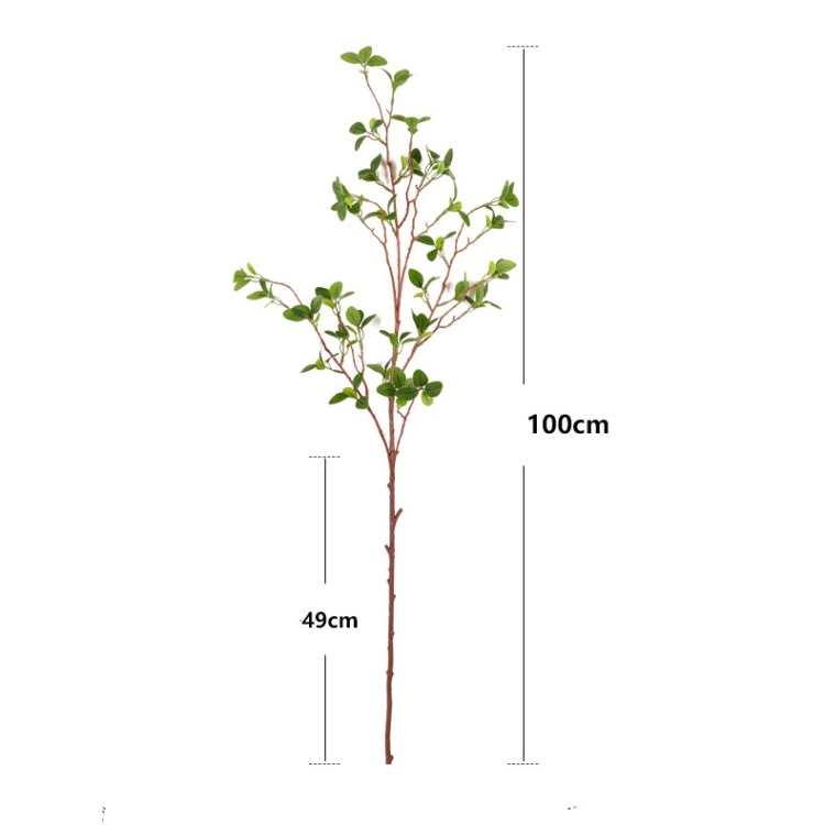 Simulated Milan Leaf Aglaia odorata‌