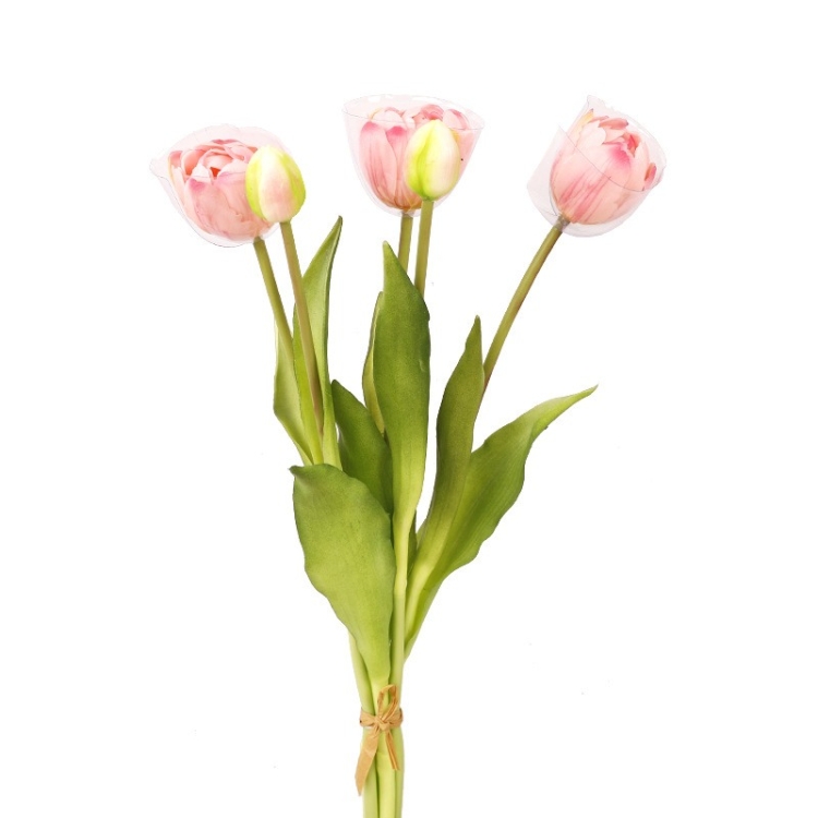 Soft silicome tulips