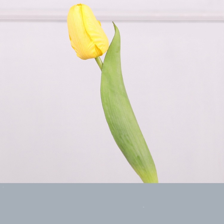 Hand-feeling moisturizing simulated tulip