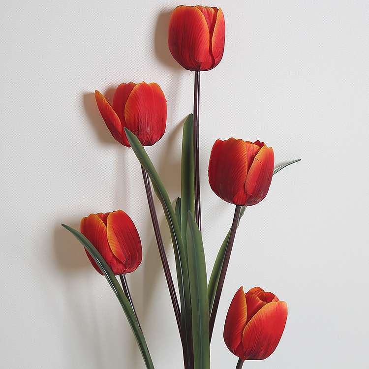 Simulated five-headed tulip