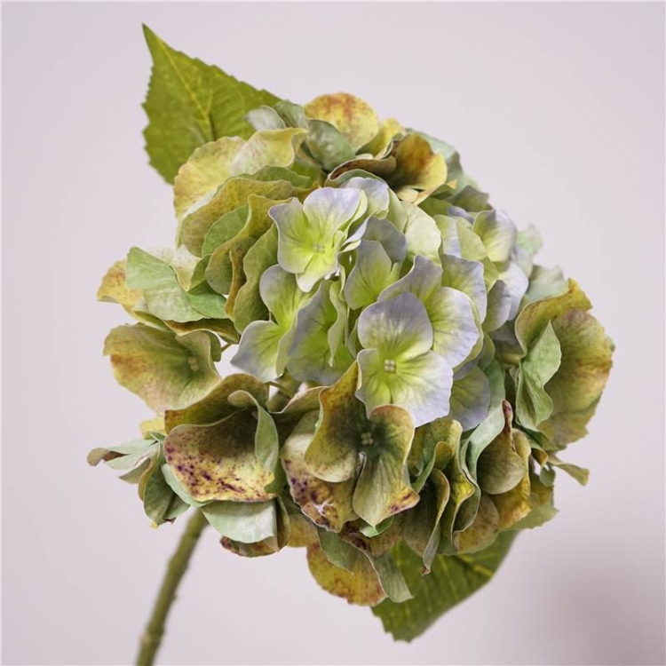 Wholesale high-quality hydrangea flowers