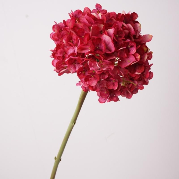 Simulated Dutch hydrangea