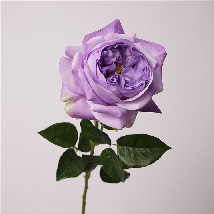 Highly realistic moisturizing rose