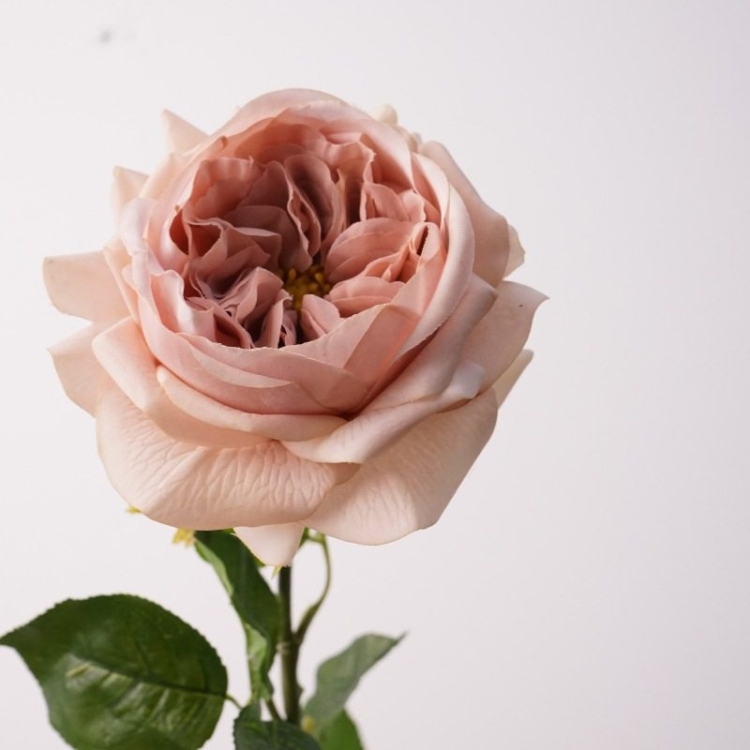 Highly realistic moisturizing rose