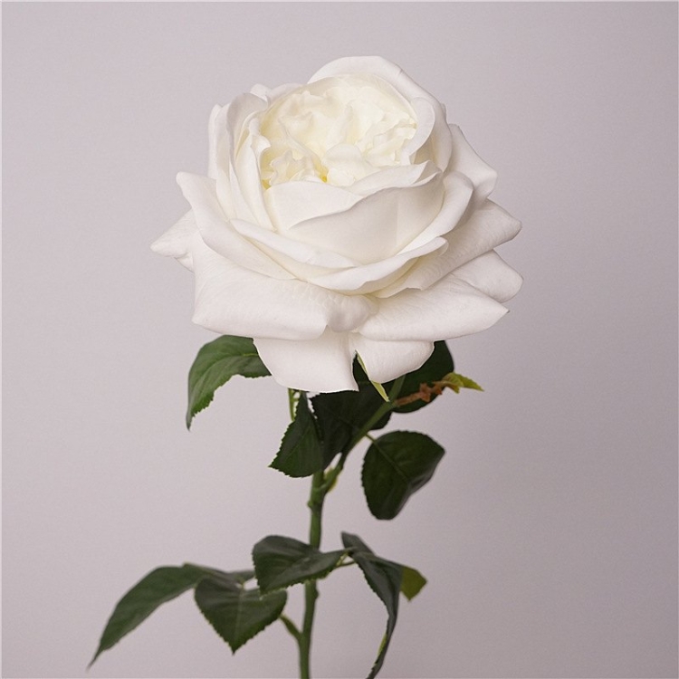 Highly realistic moisturizing rose