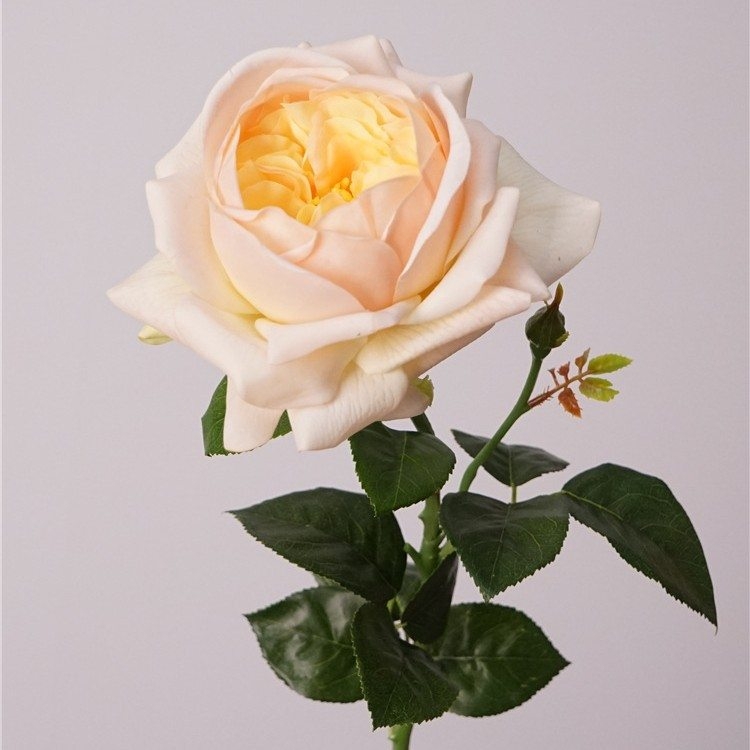 Highly realistic moisturizing rose