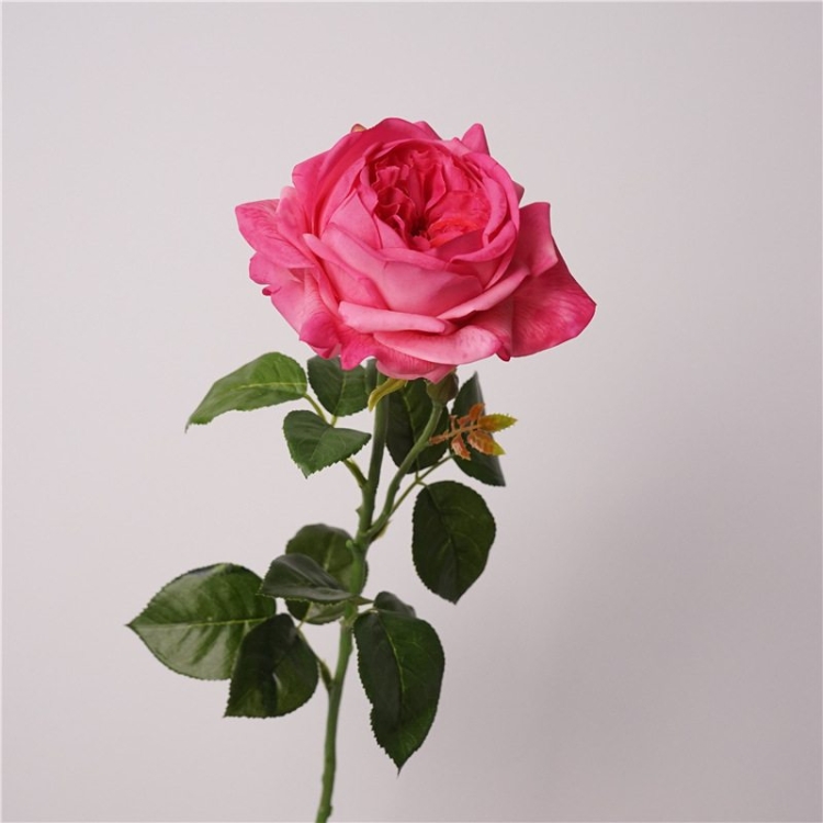 Highly realistic moisturizing rose