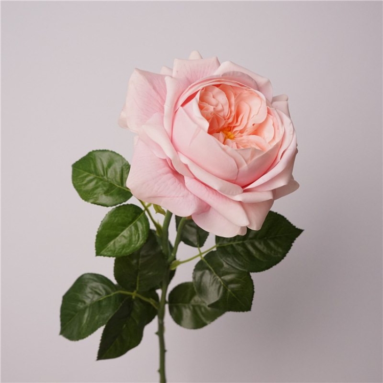 Highly realistic moisturizing rose