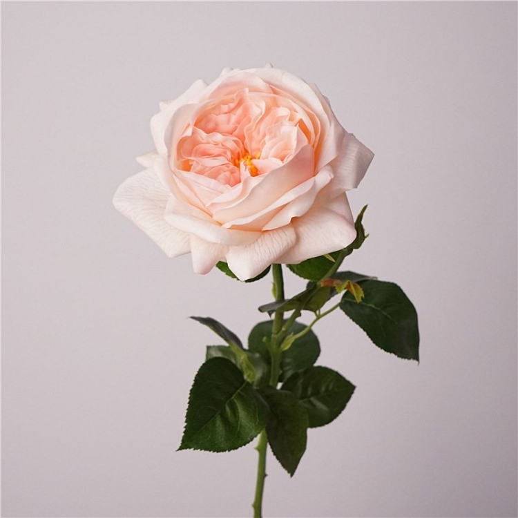 Highly realistic moisturizing rose