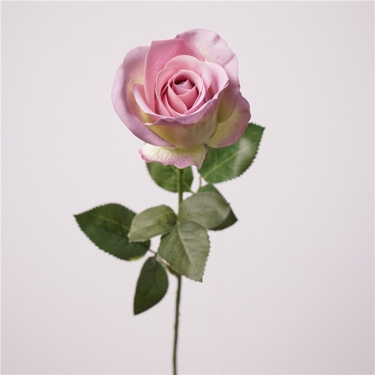 Simulated high moisturizing rose