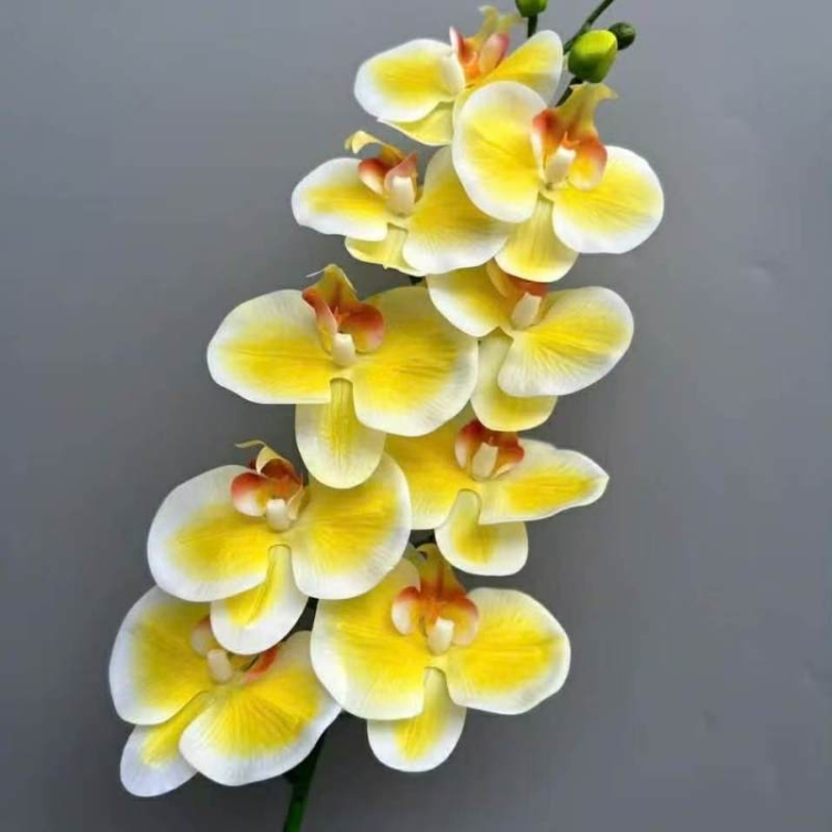 Realistic-looking fake Phalaenopsis orchid