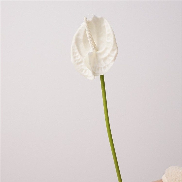 Simulated Anthurium